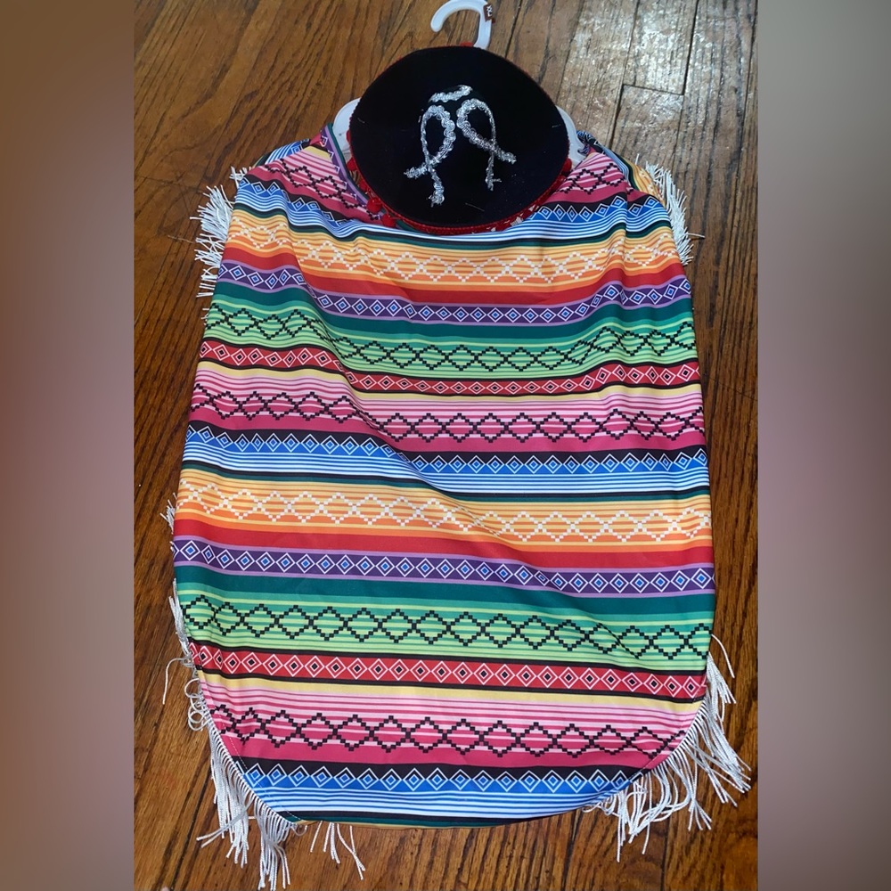 Mariachi dog costume